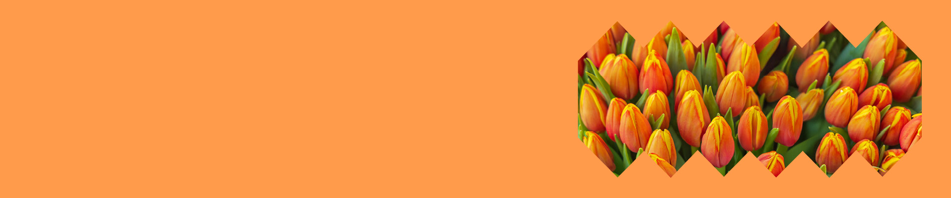 koningsdag slider